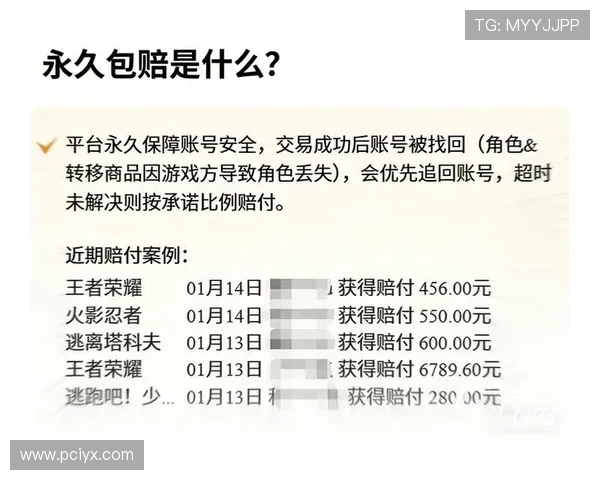 九游游戏官网账号安全保障措施，确保玩家个人信息和游戏资产的安全