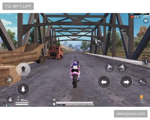 中国和平精英：从玩家角度看游戏设计与社交互动的深度体验