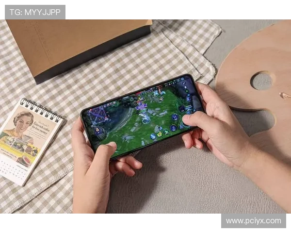 爱玩游戏中心提供专业的游戏攻略和技巧分享,助你轻松突破游戏难关